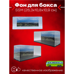 Фон для бокса SSM (26,3x10,8x10,9 см), вариант №1
