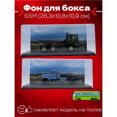 Фон для бокса SSM (26,3x10,8x10,9 см), вариант №1