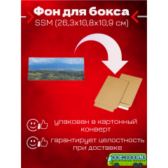 Фон для бокса SSM (26,3x10,8x10,9 см), вариант №1