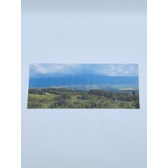 Фон для бокса SSM (26,3x10,8x10,9 см), вариант №1