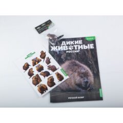 Дикие животные России №8 - Бобр
