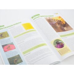 Жуки и пауки №29 - Пчела-плотник