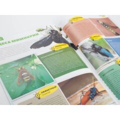 Жуки и пауки №29 - Пчела-плотник