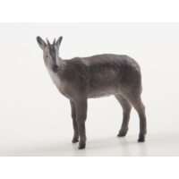 Дикие животные России №34 - Амурский горал