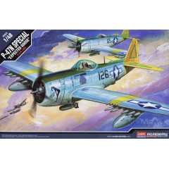 1:48 Сборная модель Авиация  P-47N "Expected Goose"