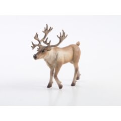 Дикие животные России №2 - Северный олень