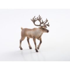 Дикие животные России №2 - Северный олень