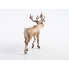 Дикие животные России №2 - Северный олень