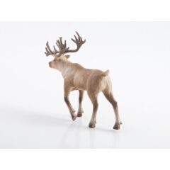 Дикие животные России №2 - Северный олень