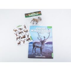 Дикие животные России №2 - Северный олень