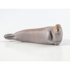 Дикие животные России №28 - Морской заяц