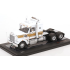 1:43 Масштабная модель седельный тягач FREIGHTLINER Coronado 2012 White/Gold