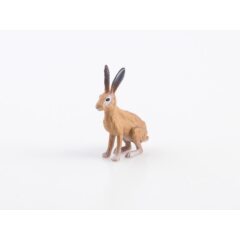 Дикие животные России №10 - Заяц русак