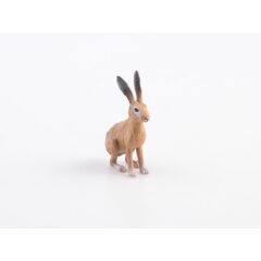 Дикие животные России №10 - Заяц русак