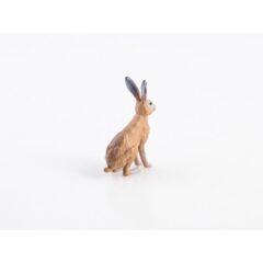 Дикие животные России №10 - Заяц русак