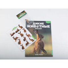 Дикие животные России №10 - Заяц русак