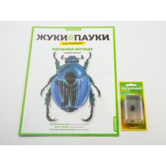 Жуки и пауки №10 - Попилия