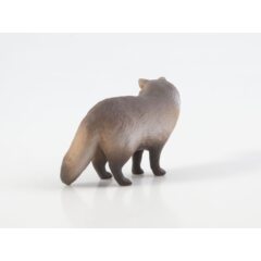 Дикие животные России №26 - Енотовидная собака