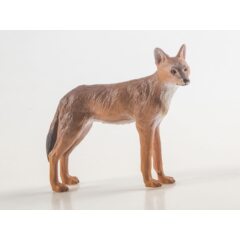 Дикие животные России №32 - Шакал