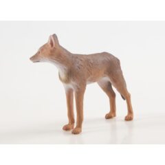 Дикие животные России №32 - Шакал