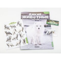 Дикие животные России №18 - Песец