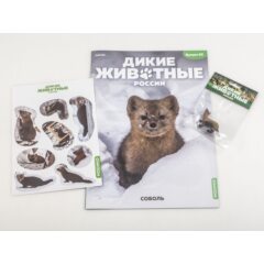 Дикие животные России №30 - Соболь