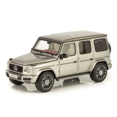 1:18 Масштабная модель Mercedes-Benz G-Klasse 2019 (silver metallic)