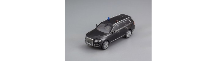 AURUS KOMENDANT г. Москва 2024 ГОН от DIP Models!