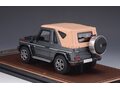 MERCEDES-BENZ G500 Cabriolet Final Edition (W463) (закрытый) 2014