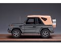 MERCEDES-BENZ G500 Cabriolet Final Edition (W463) (закрытый) 2014