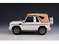 MERCEDES-BENZ G500 Cabriolet Final Edition 4х4 (W463) (закрытый) 2014 White