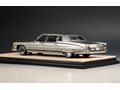 CADILLAC Fleetwood 75 Limousine (1973), Park Avenue Gray Poly