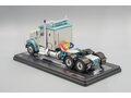 FREIGHTLINER Coronado towing vehicle (2021), silver/ light green-metallic