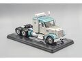 FREIGHTLINER Coronado towing vehicle (2021), silver/ light green-metallic