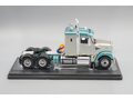 FREIGHTLINER Coronado towing vehicle (2021), silver/ light green-metallic